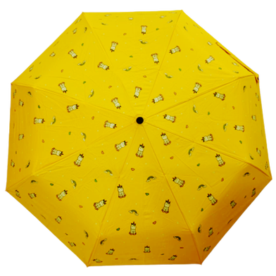 Umbrella